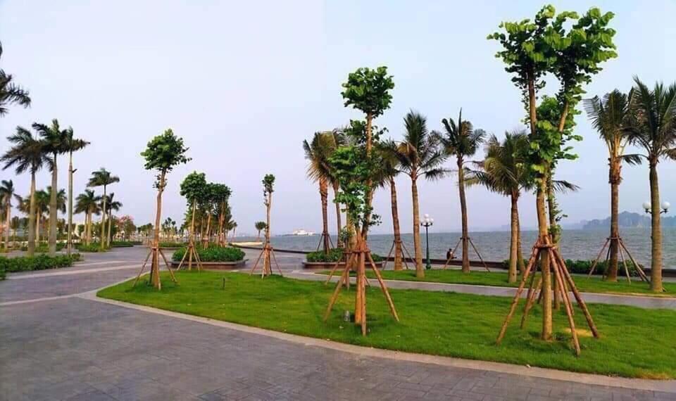 Sonny Homestay 2 -Can Lien Ke 5Pn -Khu Greenbayvillage - Duong Hoang Quoc Viet -Trung Tam Kdl Bai Chay 下龍 外观 照片